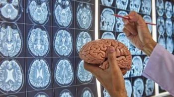 Life Coaching Courses in South Africa